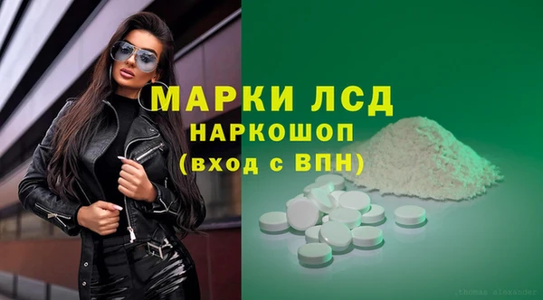 индика Волоколамск