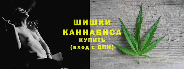 индика Волоколамск