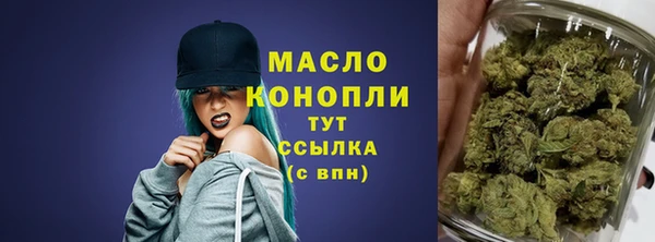 индика Волоколамск