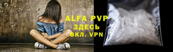индика Волоколамск