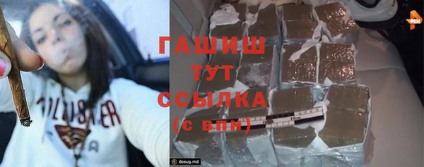 индика Волоколамск
