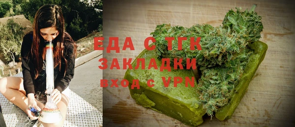 индика Волоколамск