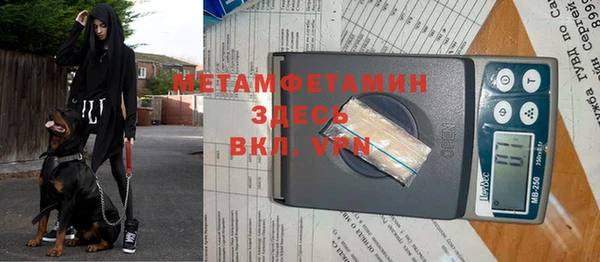 индика Волоколамск