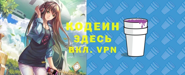индика Волоколамск