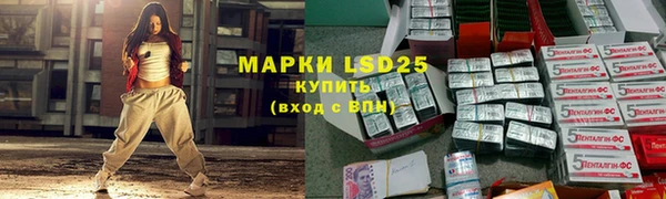 индика Волоколамск