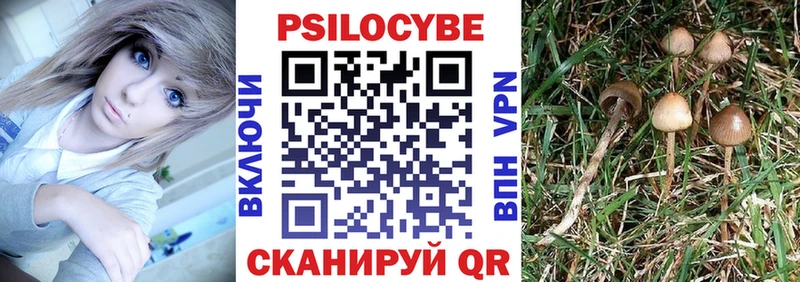 blacksprut сайт  Балашиха  Галлюциногенные грибы ЛСД 